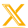 X Profile